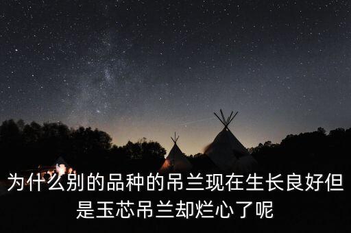 钻石翡翠吊兰，翡翠吊坠都有哪些款式