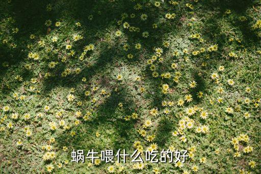 蜗牛喂什么吃的好