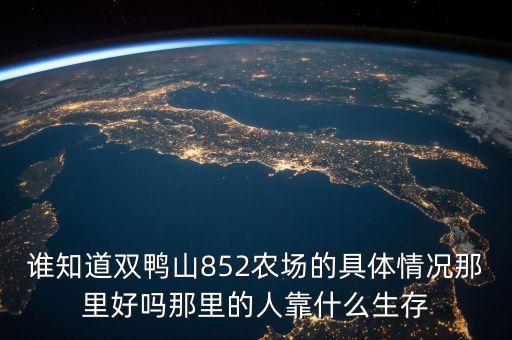 谁知道双鸭山852农场的具体情况那里好吗那里的人靠什么生存