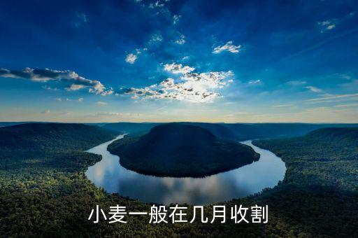 小麦一般在几月收割