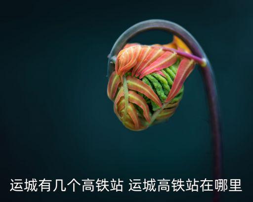 运城在哪里，运城是哪个省的