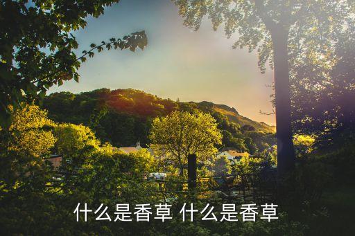 香草，香草究竟是什么