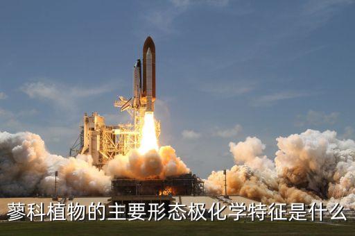 蓼科植物的主要形态极化学特征是什么