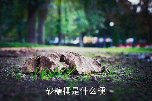砂糖桔，沙糖桔产地