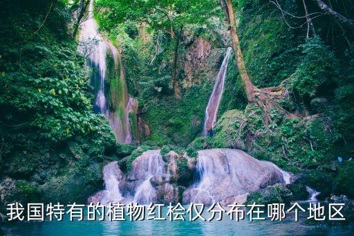 红桧，我国特有的植物红桧仅分布在哪个地区