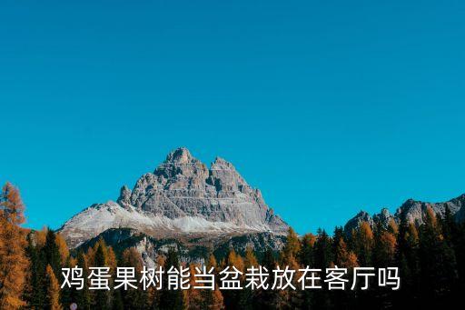 鸡蛋果树能当盆栽放在客厅吗