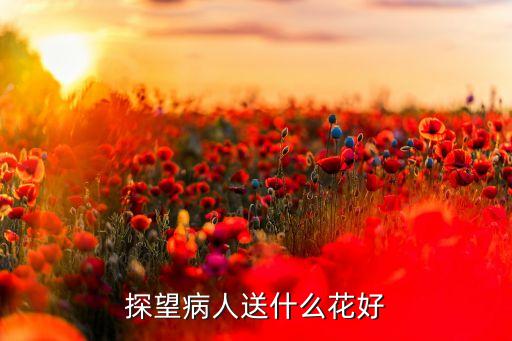 探望病人送什么花好
