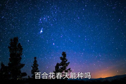 春天百合，百合花春天能种吗