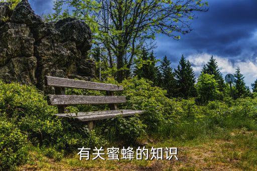 有关蜜蜂的知识