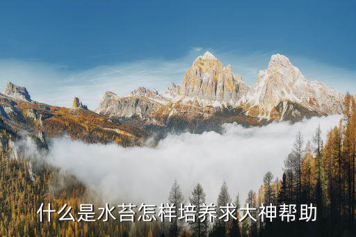 水苔，水苔除了养蝴蝶兰还能干什么