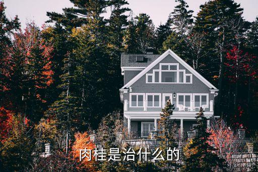 肉桂是治什么的