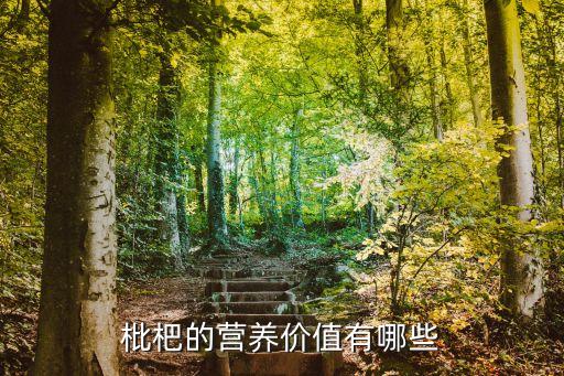 枇杷的营养价值，枇杷有那些营养价值