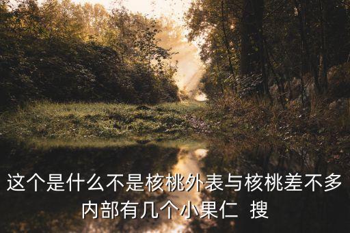 桐子果，桐子果实几月成熟