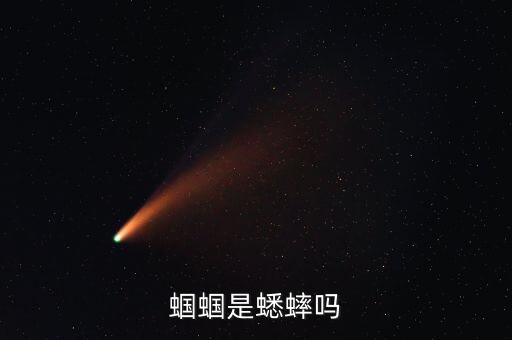 蝈蝈是蟋蟀吗