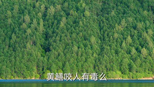 鳝鱼咬人吗，你们见过鳝鱼咬人吗