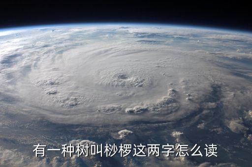 有一种树叫桫椤这两字怎么读