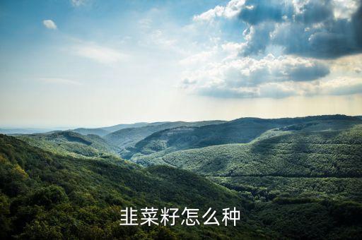 韭菜籽怎么种