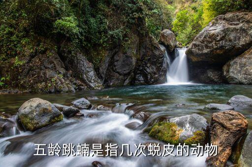 五龄跳蝻是指几次蜕皮的动物