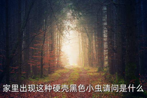 夏天黑色的小虫子，家里出现这种硬壳黑色小虫请问是什么