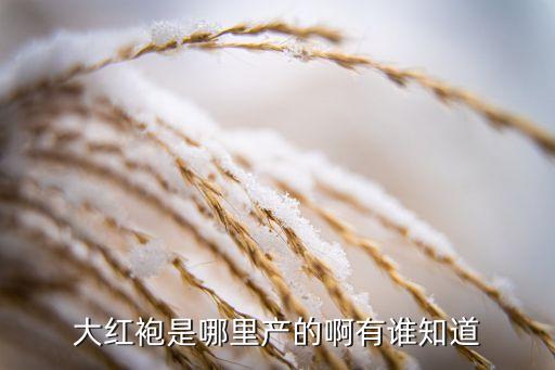 大红袍是哪里产的啊有谁知道