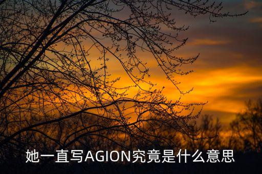 夜隼是什么意思，夜隼后面这个字怎么读