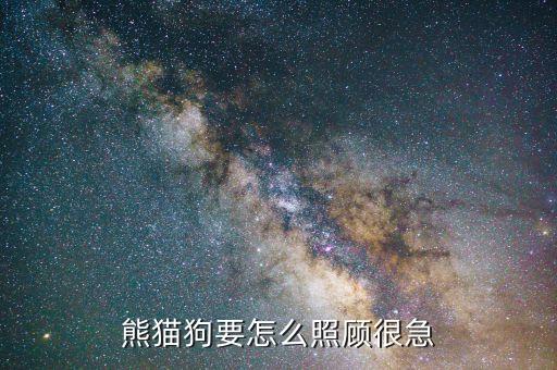 熊猫狗要怎么照顾很急