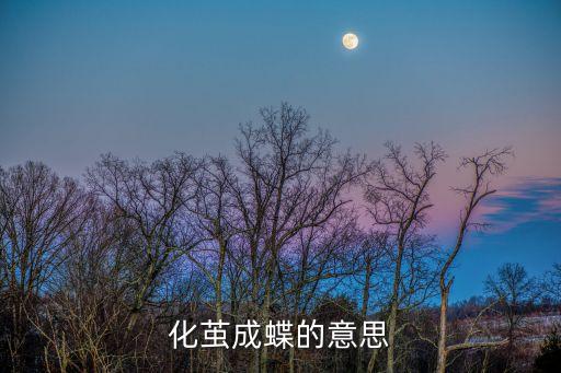 化茧成蝶的意思