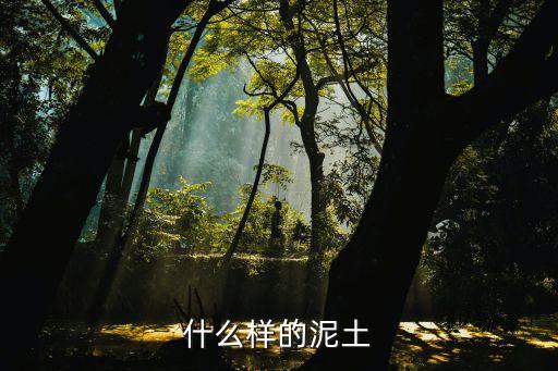 什么样的泥土