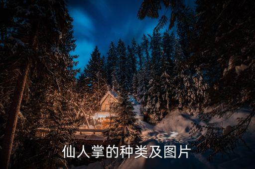 红藤图片，搜集各种贞子图片