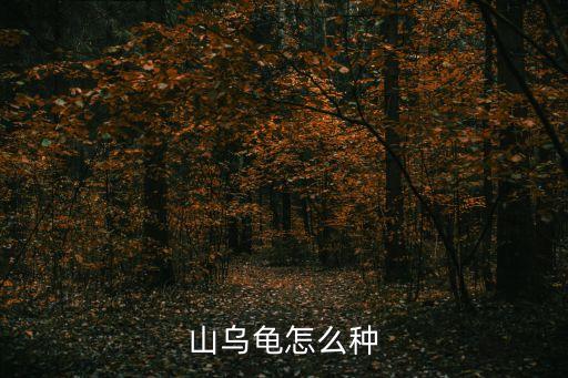 山乌龟的养殖方法和注意事项，养野生乌龟的办法和注意事项