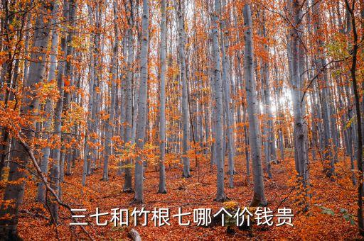 竹根七，三七和竹根七哪个价钱贵