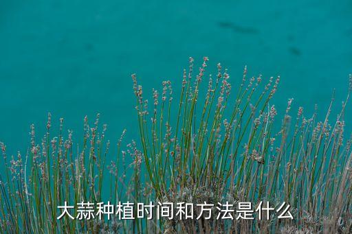 蒜怎么种，大蒜怎么种植