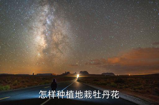 牡丹种植，怎样种植地栽牡丹花