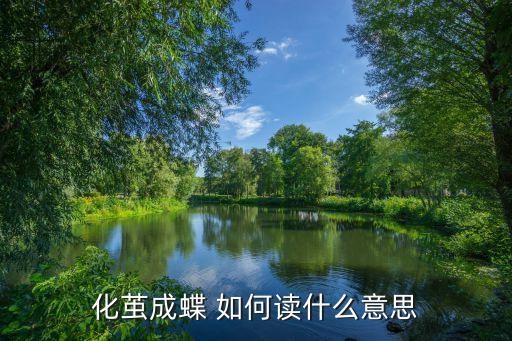 化茧成蝶 如何读什么意思