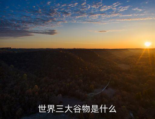 三大谷物，世界三大谷物是什么
