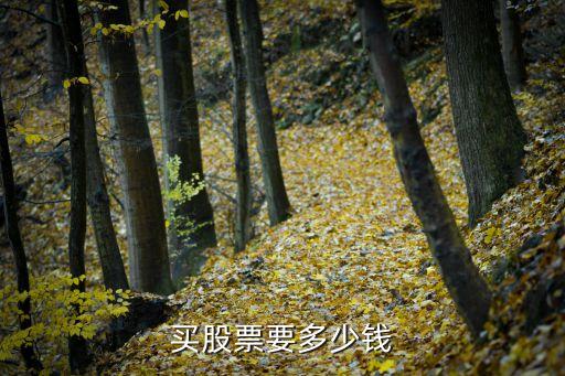 荣邦农业怎么卖股票，农商业原始股怎么出售