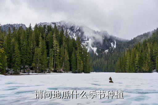 请问地瓜什么季节种植