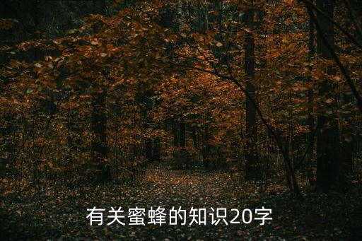 有关蜜蜂的知识20字