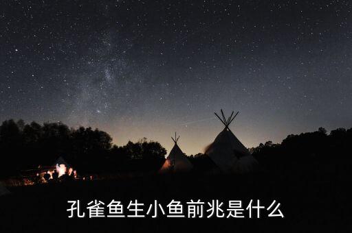 凤尾鱼图片，如何养好孔雀鱼
