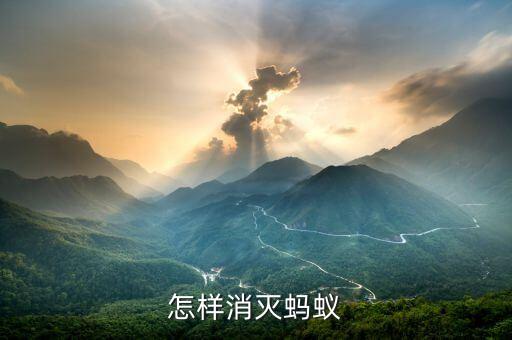 怎样消灭蚂蚁