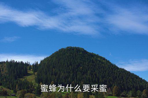为什么蜜蜂要采蜜，蜜蜂为什么要采蜜