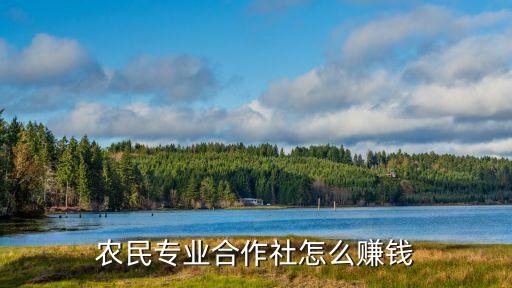 农民专业合作社怎么赚钱
