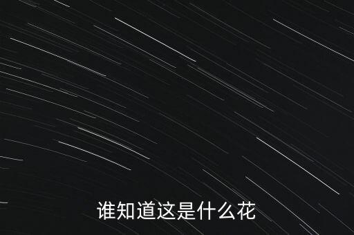 黄刺梅，谁知道这是什么花