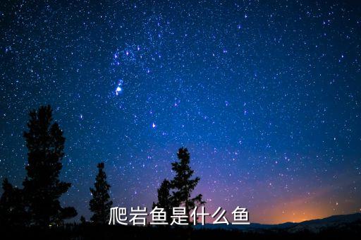 爬岩鱼是什么鱼
