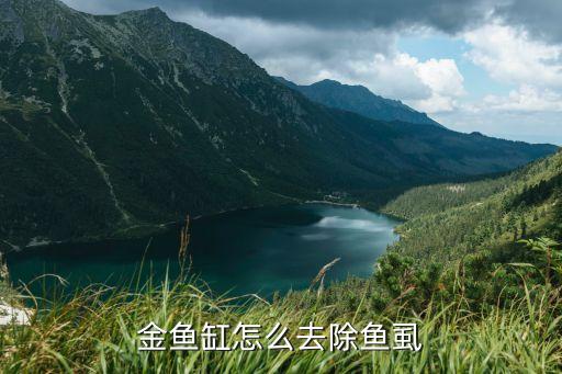 金鱼缸怎么去除鱼虱