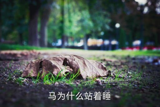 马为什么站着睡