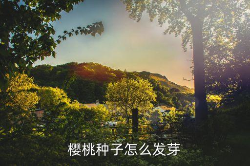 樱桃种子怎么发芽，樱桃种子怎样催芽