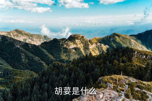 胡荽是什么