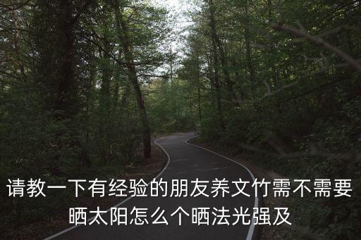 文竹需要晒太阳吗，文竹能晒太阳吗