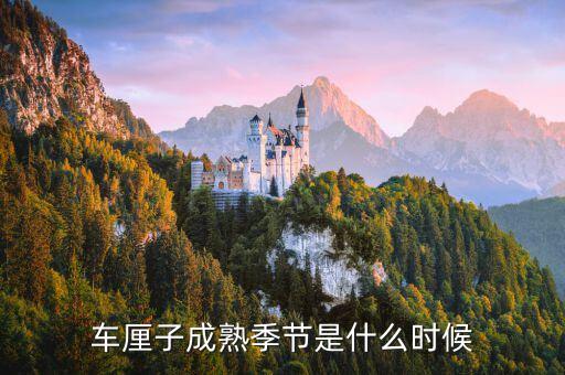 车厘子几月成熟，茂县车厘子什么时候成熟